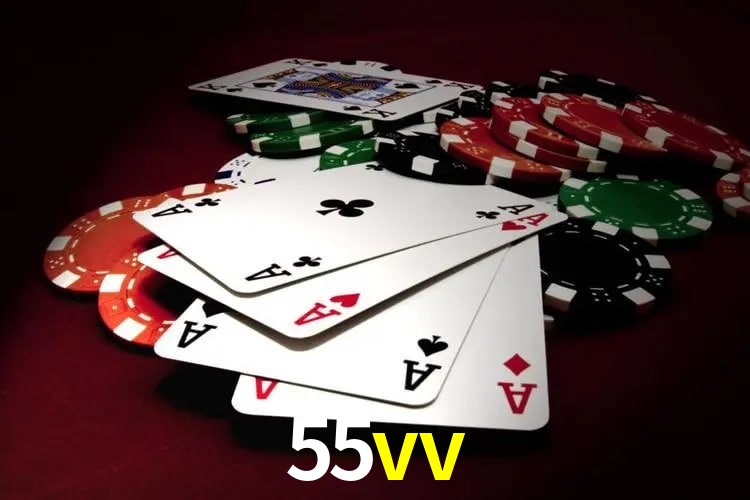 Experiência VIP 55vv